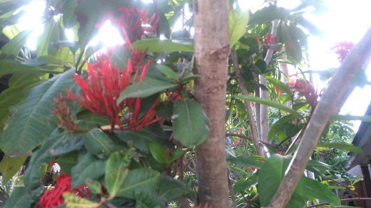 Koi Gili Guest House Gili Trawangan Zewnętrze zdjęcie